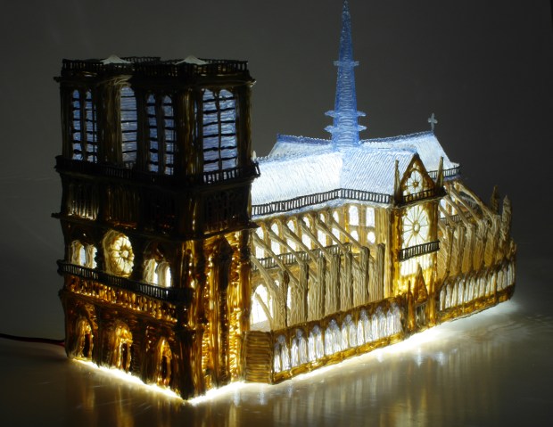 Notre Damme Lights